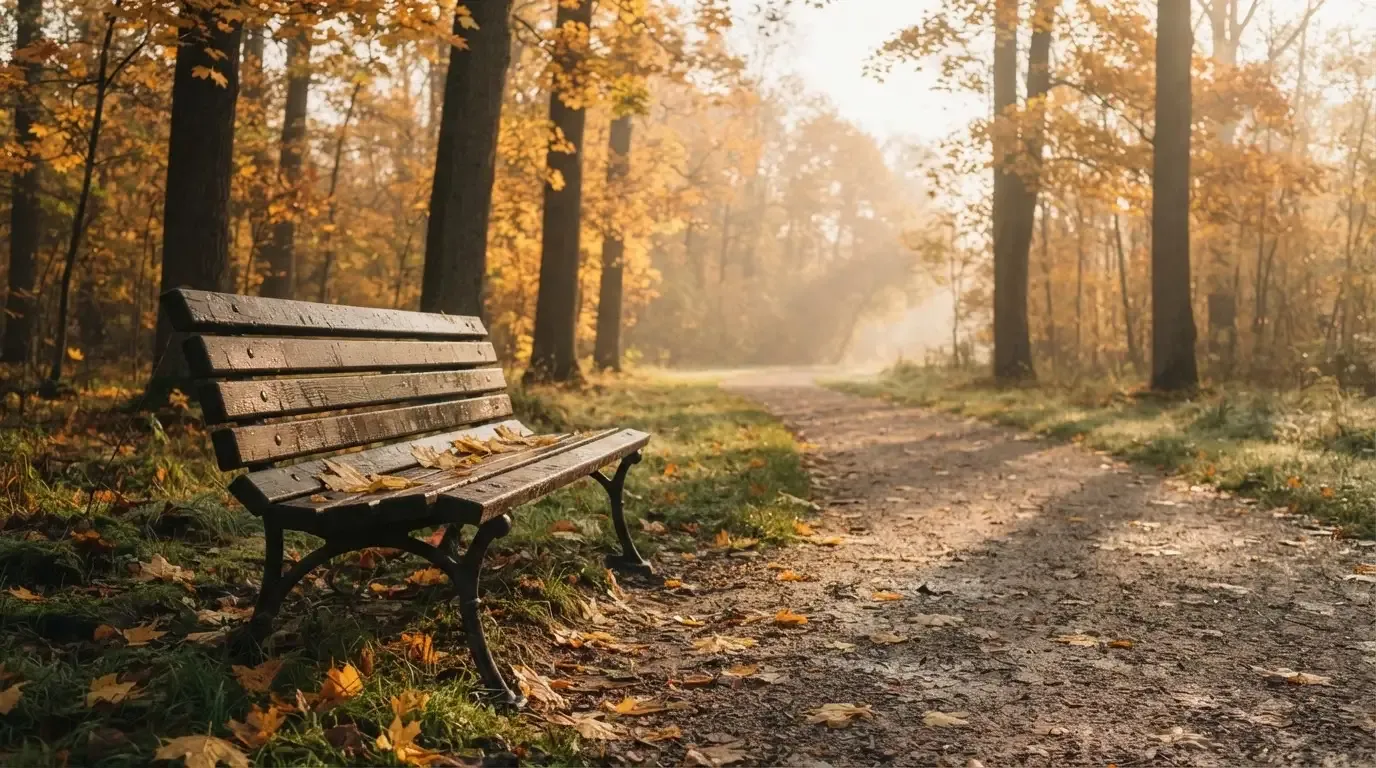 En tom parkbänk en höstmorgon, gula lönnlöv på stigen och låg sol mellan träden — svenska nätcasinon